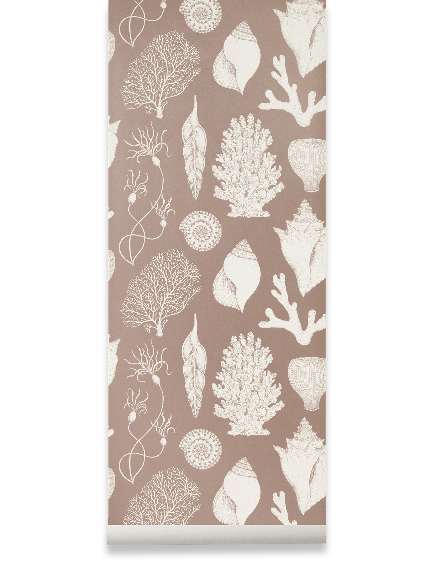 Katie Scott Wallpaper - Shells by Ferm Living