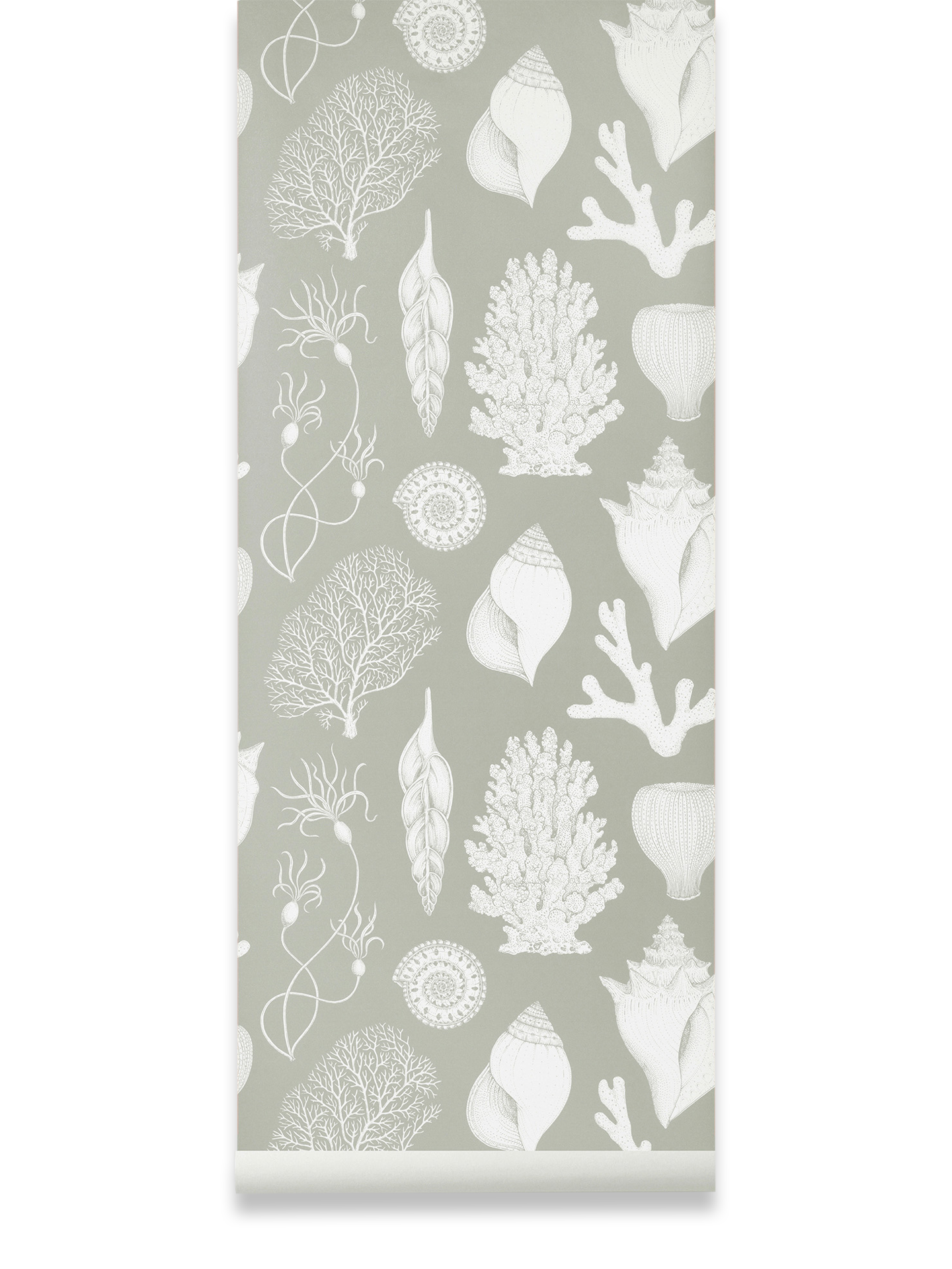 Katie Scott Wallpaper - Shells by Ferm Living