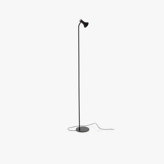 Asha -Reading Lamp