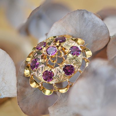 18 Karat 20th Century French Garnet Yellow Gold Brooch, 1890s-OLU-1436670