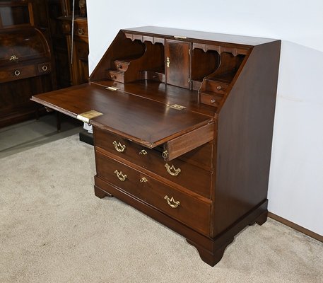 18th Century Georgian Dribanne Chest of Drawers in Mahogany, England-RVK-1818372