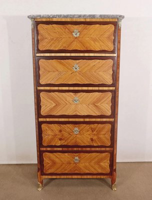 18th Century Louis XV Precious Wood Chest of Drawers-RVK-1424693