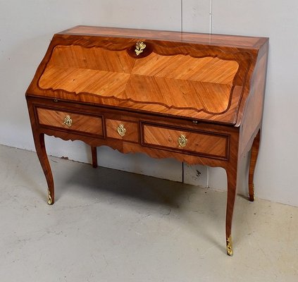 18th Century Regency Louis XV Mahogany and Rosewood Sloping Desk-RVK-694307