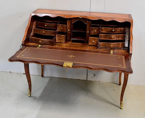 18th Century Regency Louis XV Mahogany and Rosewood Sloping Desk-RVK-694307