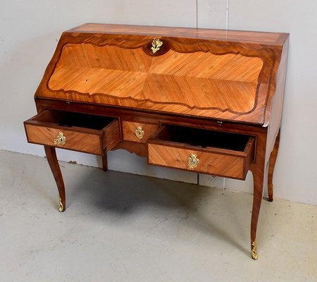 18th Century Regency Louis XV Mahogany and Rosewood Sloping Desk-RVK-694307