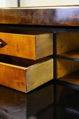 19th Century Biedermeier Chest of Drawers, Austria, 1830s-TQA-1446916