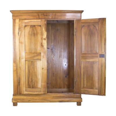 19th Century Biedermeier Walnut Wardrobe, Germany-WFJ-1396591