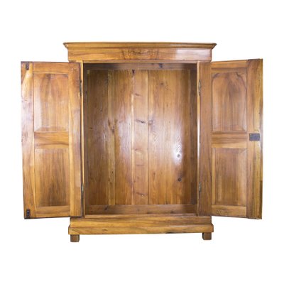 19th Century Biedermeier Walnut Wardrobe, Germany-WFJ-1396591