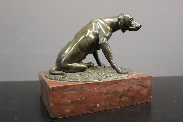 19th Century Bronze Hunting Dog Figurine-BCR-1366816