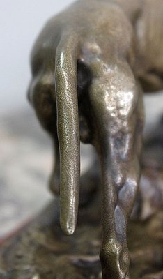 19th Century Bronze of A Braque Dog by P.j Mêne-RVK-805886