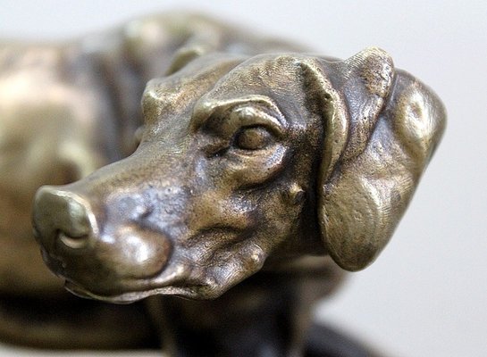 19th Century Bronze of A Braque Dog by P.j Mêne-RVK-805886