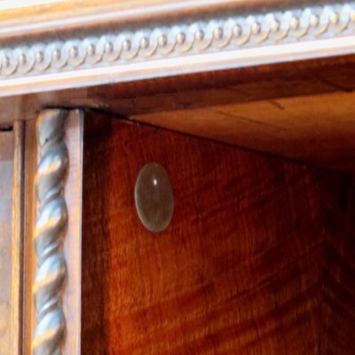 19th Century Burr Walnut Wardrobe with Big Lion Feet, 1890s-UBE-1417671