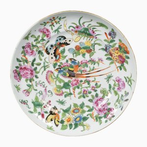 19th Century Canton Porcelain Plate with Butterflies and Birds-QKG-1799989