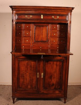 19th Century Cherrywood Secretary in the style of Louis XVI-HPU-1339022