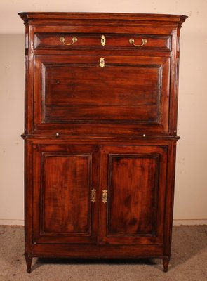 19th Century Cherrywood Secretary in the style of Louis XVI-HPU-1339022