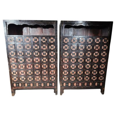 19th Century Chinese Pharmacy Cabinets, 1860, Set of 2-FDW-2039596