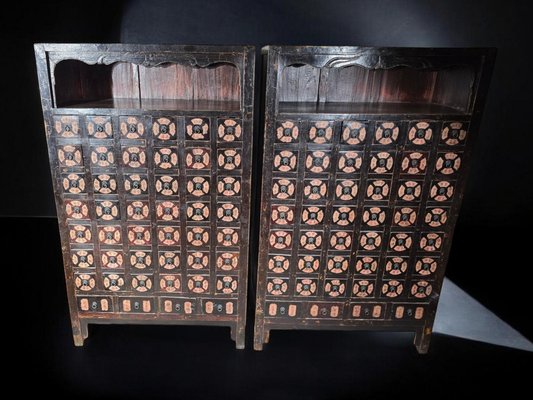 19th Century Chinese Pharmacy Cabinets, 1860, Set of 2-FDW-2039596