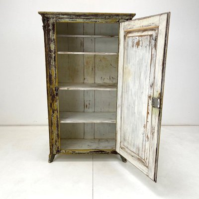 19th Century European Food Cabinet-TZ-1356847