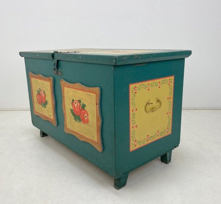 19th Century Hand Painted Chest or Trunk-TZ-1326551