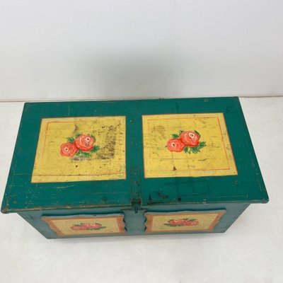 19th Century Hand Painted Chest or Trunk-TZ-1326551