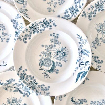 19th Century Longwy Plates Ycho Blue Iron Clay, 1885, Set of 6-SHG-2021714