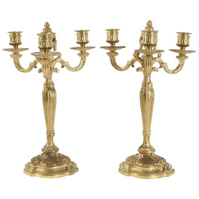 19th Century Louis XV Candelabras in Gold Gilt Bronze, Set of 2-WFS-744773