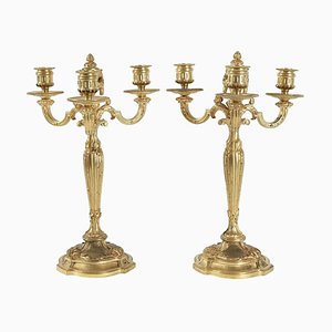 19th Century Louis XV Candelabras in Gold Gilt Bronze, Set of 2-WFS-744773