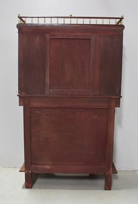 19th Century Louis XVI Style Mahogany Cabinet-RVK-581208