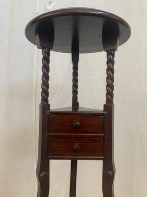 19th Century Mahogany Plant Stand with Drawers-IJR-681210