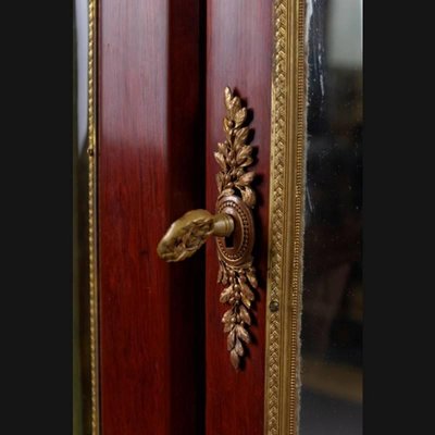 19th Century Napoleon III Style Mahogany Vitrine, 1890s-FLW-1401823