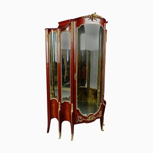 19th Century Napoleon III Style Mahogany Vitrine, 1890s-FLW-1401823