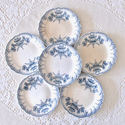 19th Century Plates Regence Iron Earth Collection from St Amand, 1879, Set of 6-SHG-2034680