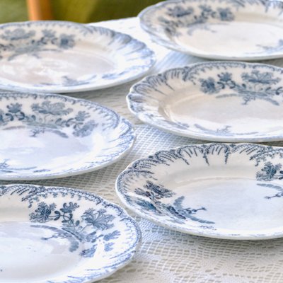 19th Century Plates Regence Iron Earth Collection from St Amand, 1879, Set of 6-SHG-2034680