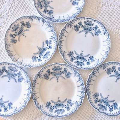 19th Century Plates Regence Iron Earth Collection from St Amand, 1879, Set of 6-SHG-2034680