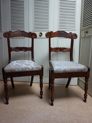 19th Century Regency Mahogany Cornucopia Dining Chairs, Set of 2-EA-1703477