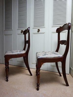 19th Century Regency Mahogany Cornucopia Dining Chairs, Set of 2-EA-1703477