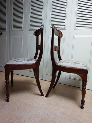 19th Century Regency Mahogany Cornucopia Dining Chairs, Set of 2-EA-1703477