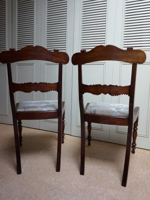 19th Century Regency Mahogany Cornucopia Dining Chairs, Set of 2-EA-1703477