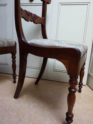 19th Century Regency Mahogany Cornucopia Dining Chairs, Set of 2-EA-1703477