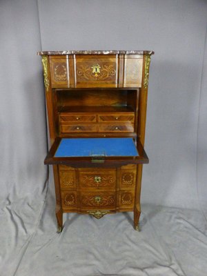 19th Century Secretaire in Marquetry-WSV-1122530