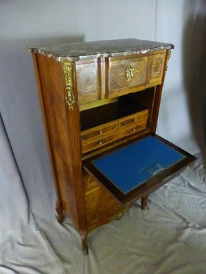 19th Century Secretaire in Marquetry-WSV-1122530