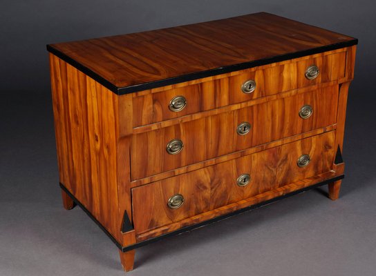 19th Century South German Biedermeier Commode, 1815-FLW-1402364