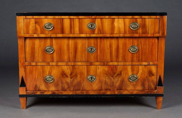 19th Century South German Biedermeier Commode, 1815-FLW-1402364