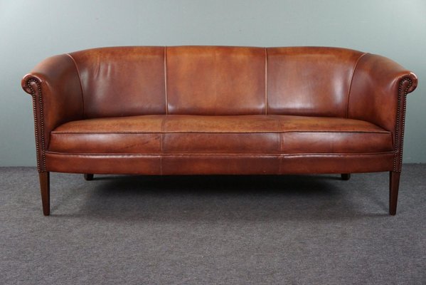 2,5-Seater Club Sofa in Cognac Cowhide Leather-HPP-1779844