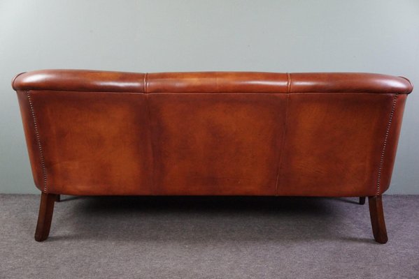 2,5-Seater Club Sofa in Cognac Cowhide Leather-HPP-1779844