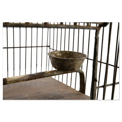 20th Century Bird Cage-NQ-1793304