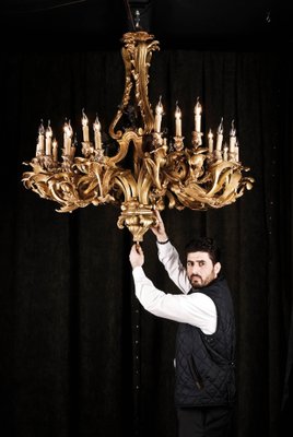 20th Century Louis XV Style Candelabra Chandelier-FLW-1401886