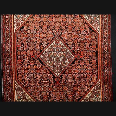 20th Century Middle Eastern Senna Rug-FLW-1401921