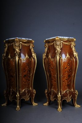 20th Century Ormolu Pedestals / Columns in Style of François Linke, Set of 2-FLW-1401731