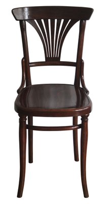 221 Dining Chairs by Michael Thonet for Thonet, 1910s, Set of 2-BAR-845338